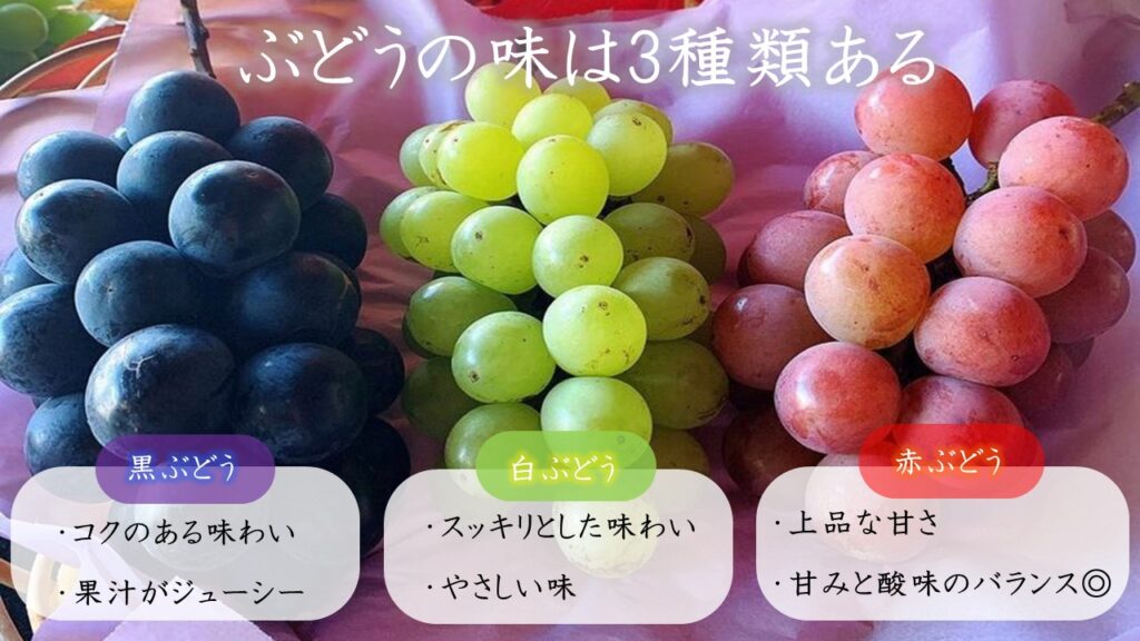 【農家が教える】ぶどうの品種別おすすめ!自分好みのぶどうを選ぶポイント3選