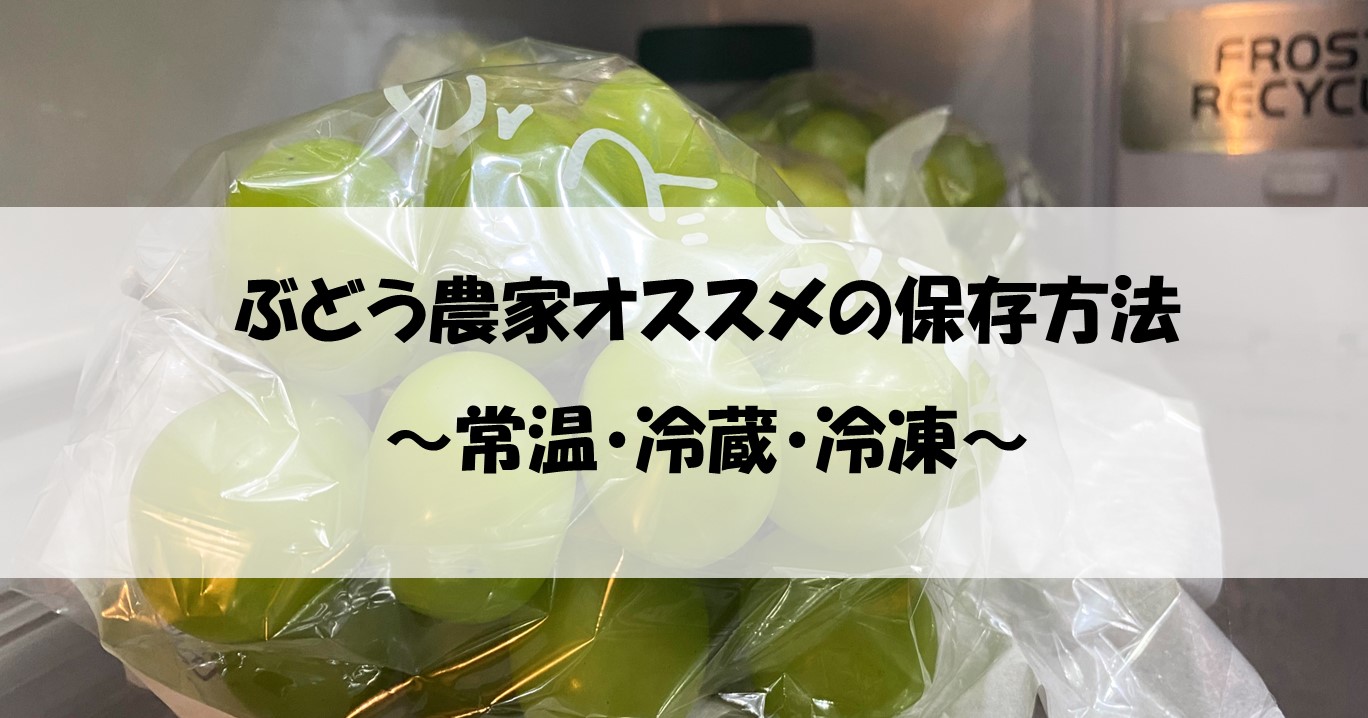 常温・冷蔵・冷凍】ぶどう作り50年の農家が教える上手な保存方法で長くぶどうを楽しもう！